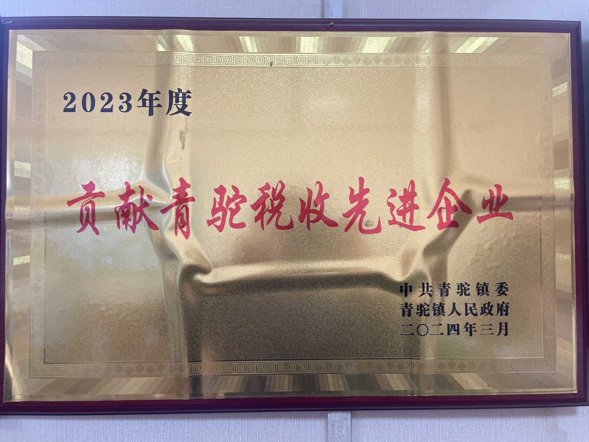2023年貢獻(xiàn)青駝稅收先進(jìn)企業(yè).jpg